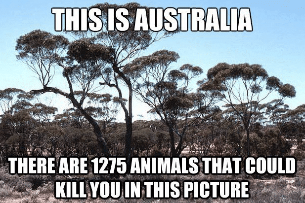 Australia Meme - My Five 251 - Browser Media