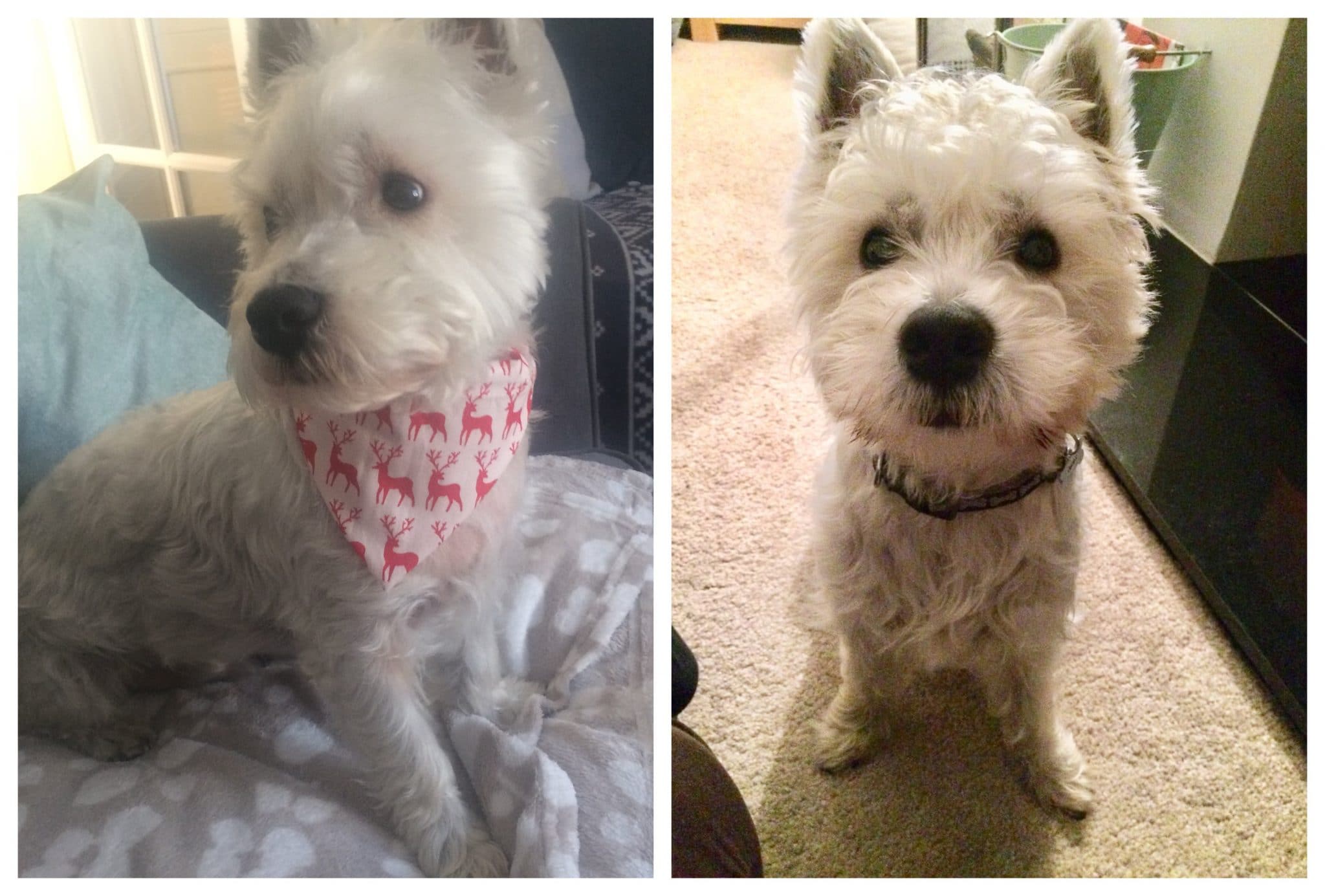 Who couldn't love that face?!