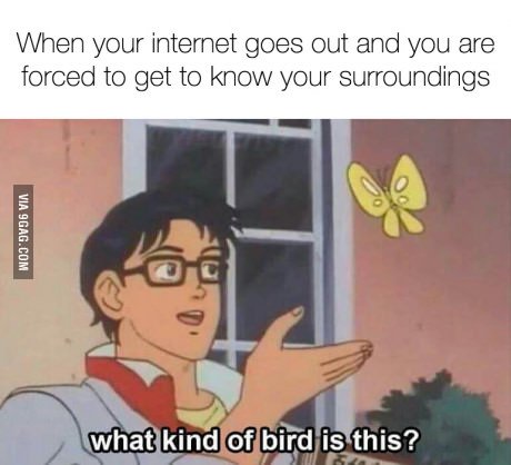 Router of all evil - My five - Browser Media