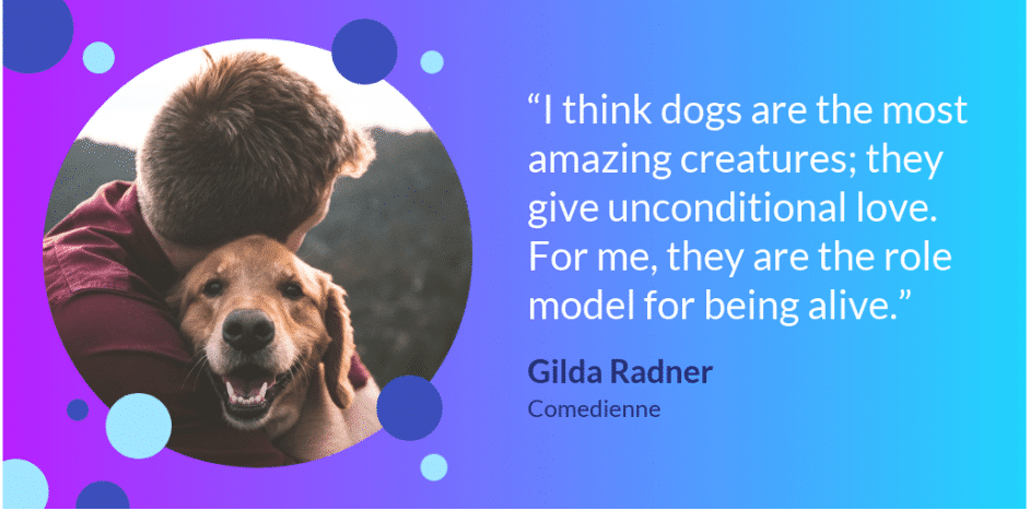 Venngage dog quote
