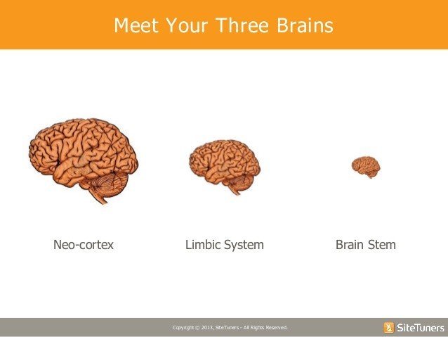 Tim Ash - convertcom webinar-pay attention understanding the brains need for novely shortcuts - Browser Media