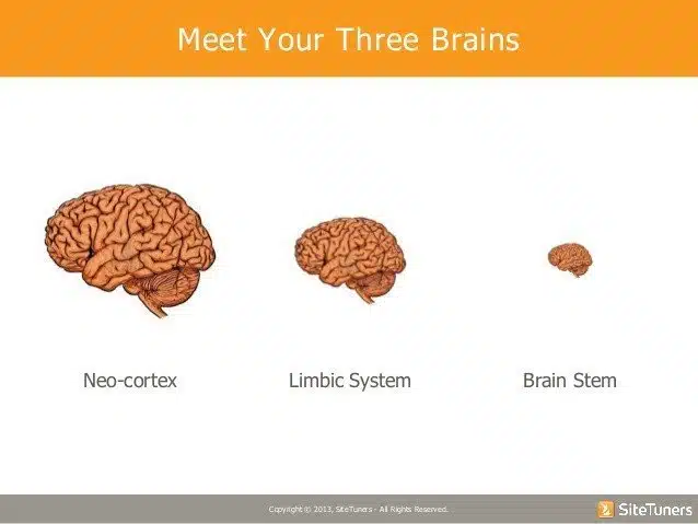 Tim Ash - convertcom webinar-pay attention understanding the brains need for novely shortcuts - Browser Media
