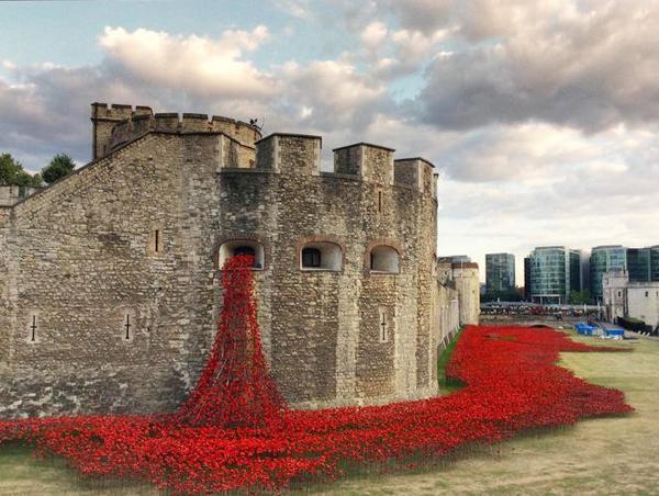Tower of London Poppies
