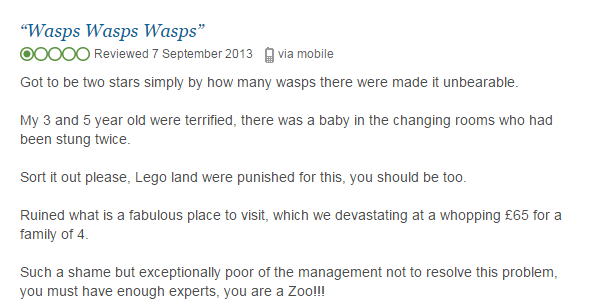 Colchester Zoo Wasp Review