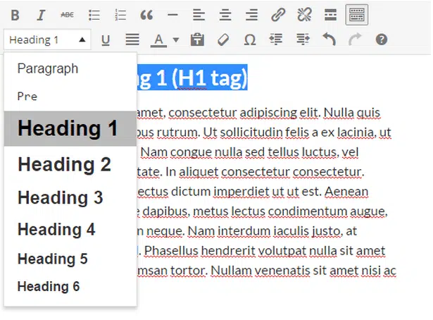 WordPress WYSIWYG heading and styling options