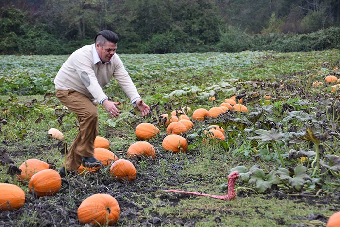 funny-maternity-photoshoot-alien-pumpkin-field-todd-cameron-li-carter-6