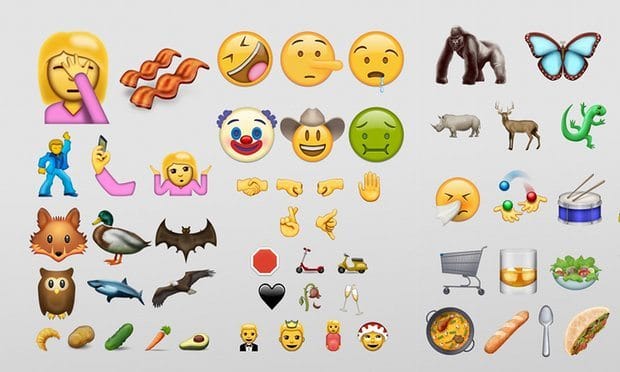 image credit ii the guardian.co.uk