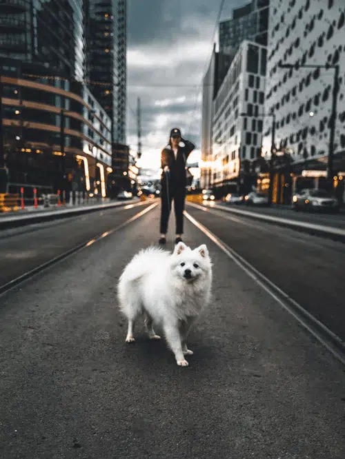Regal City Gangsta
