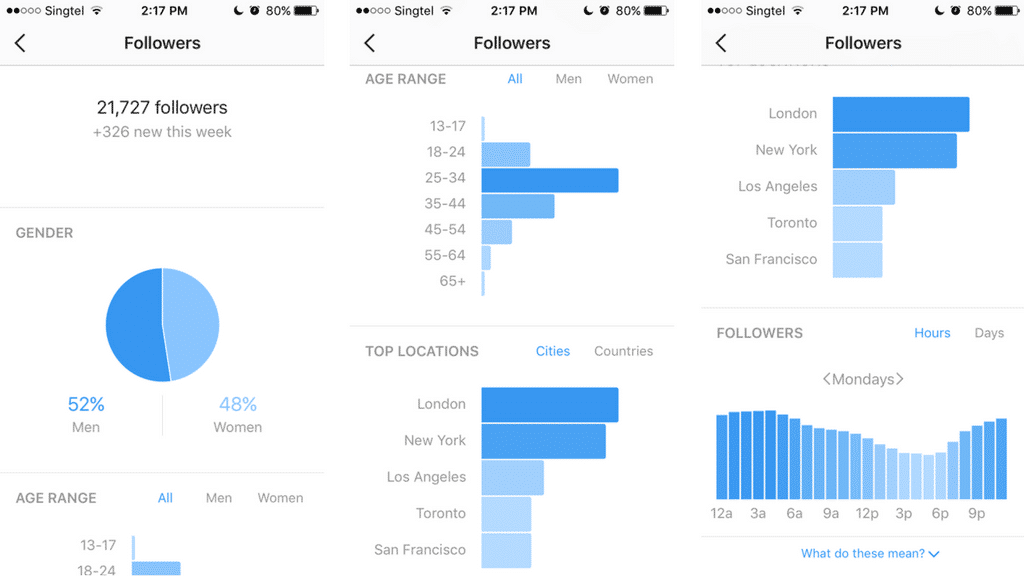 Insights - Instagram's built-in analytics tool for business profiles