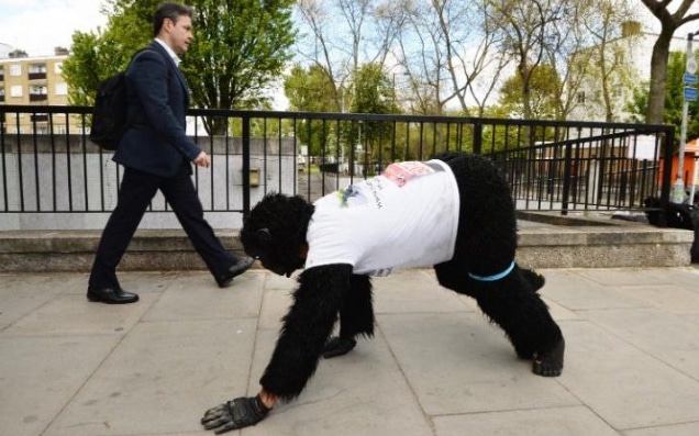 Mr Gorilla crawling the London Marathon 2017