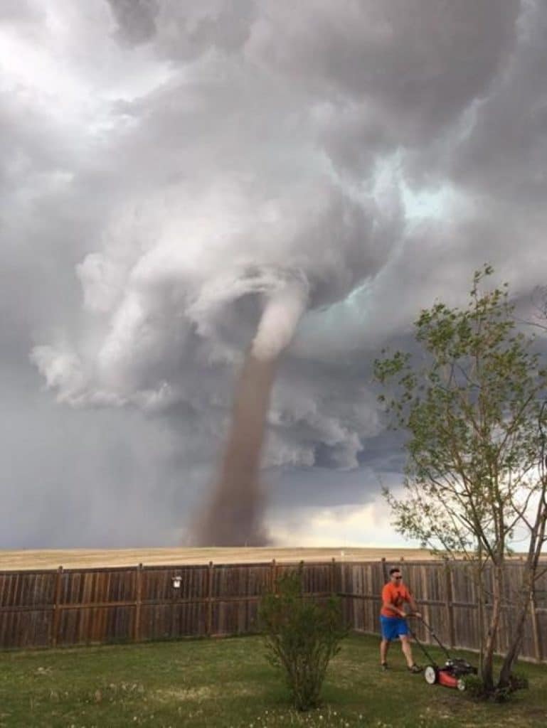 tornado-cecilia-wells