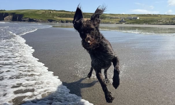 Great digital marketing